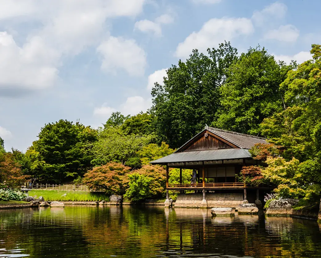 Japanse tuin Hasselt