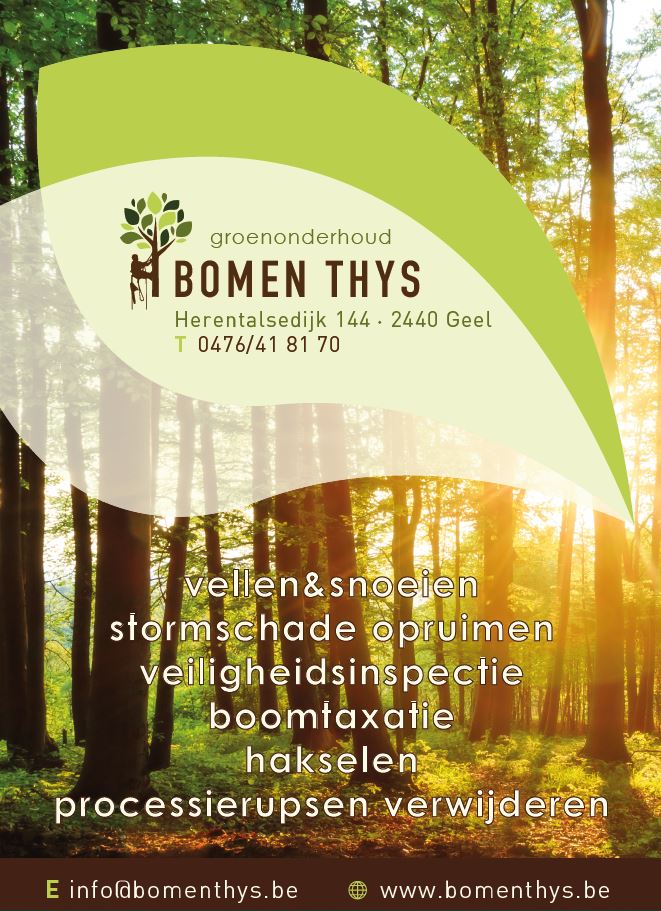 tuinaannemers Geel | Bomen Thys