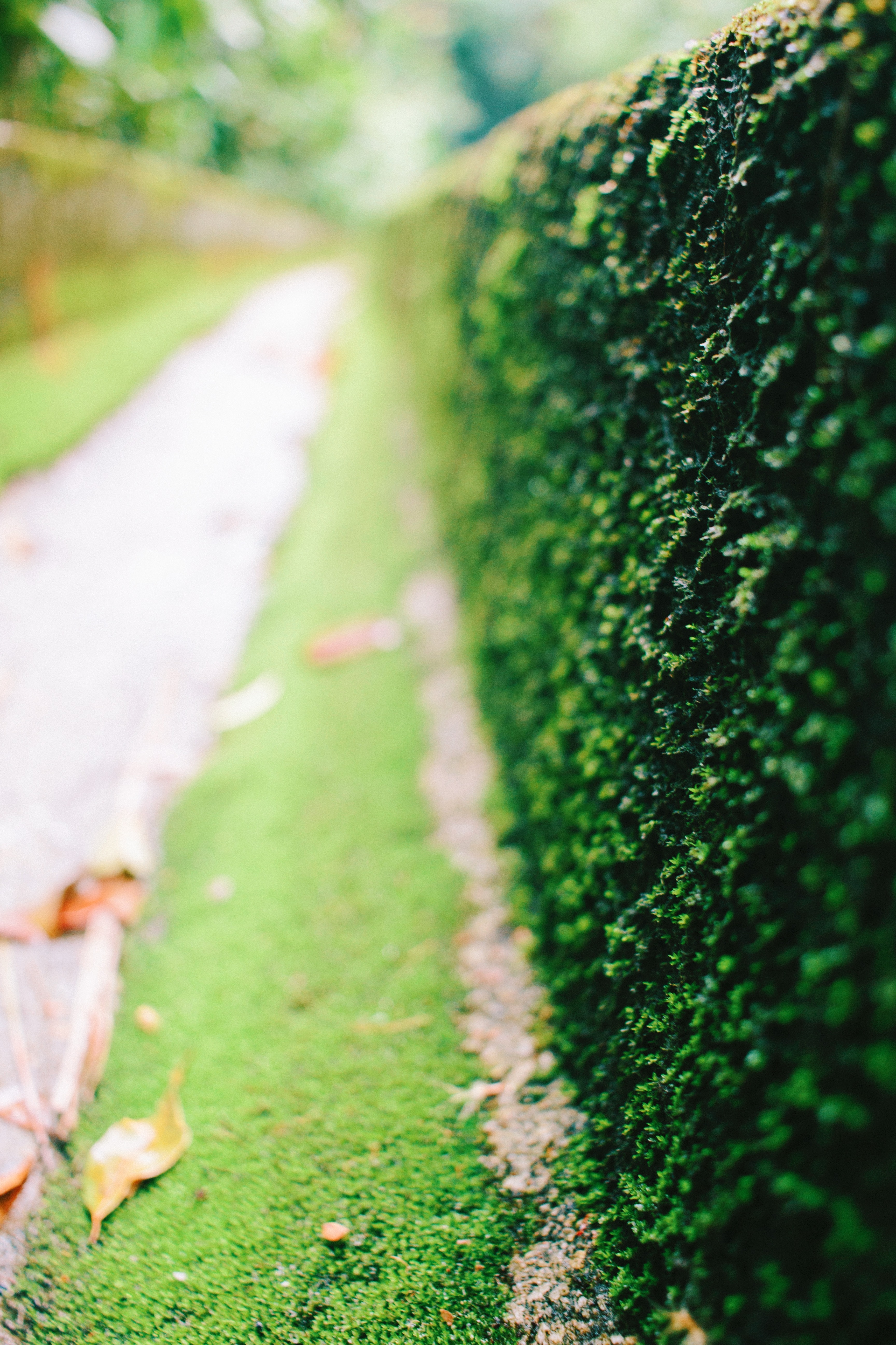 tuinaannemers Meerhout | Tuinwerken Huygens